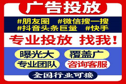 行业领先的SEM投放效果案例解析